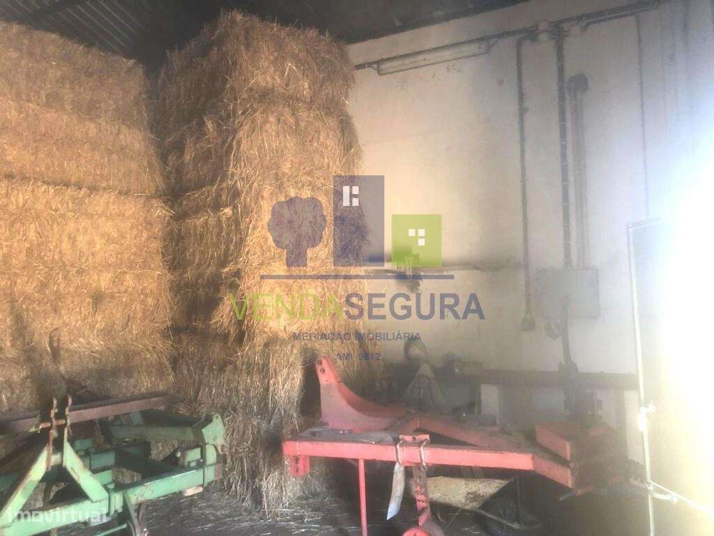 Herdade | Sobral da Adiça - Grande imagem: 5/15