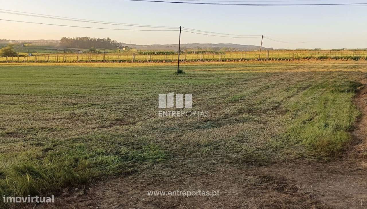 Venda de Terreno com 2600 m2, Arcos, Vila do Conde - Grande imagem: 5/11