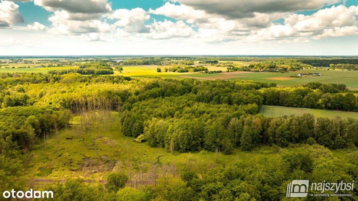 Nowogard -Ziemia Inwestycyjna Z Planem 3,64 Ha - Pełny obrazek: 4/10