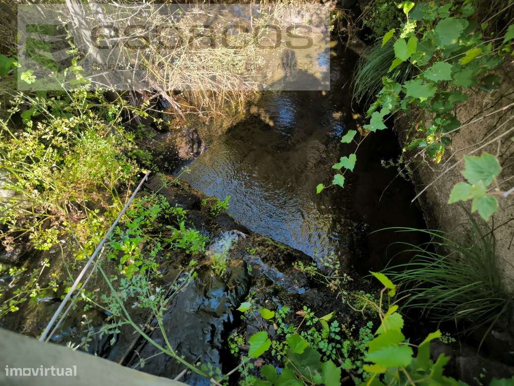 Terreno Agrícola - Grande imagem: 4/13