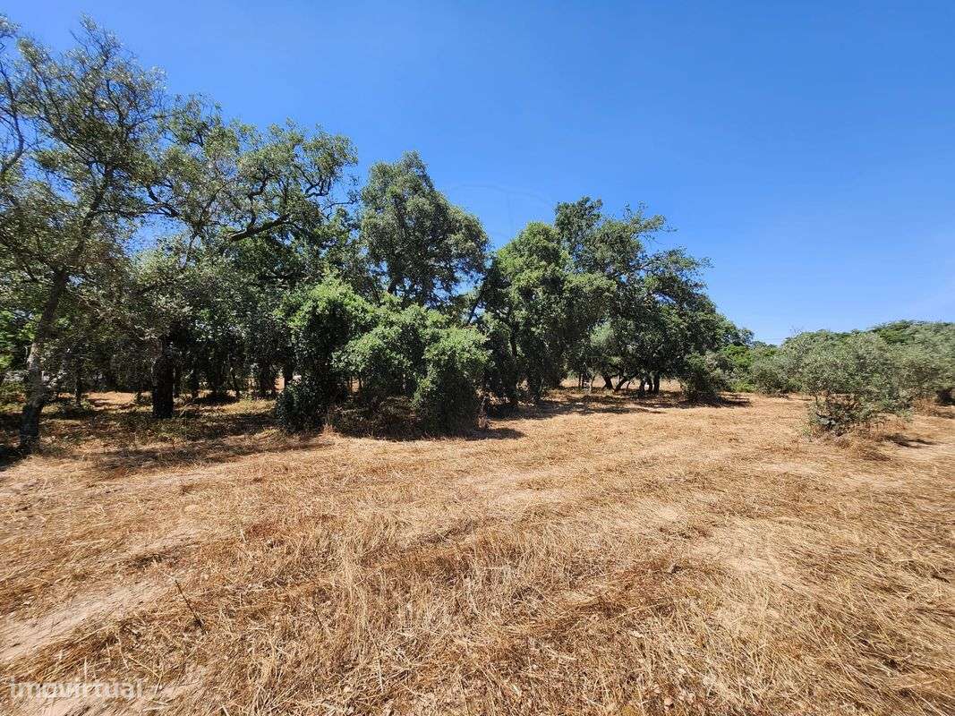 Terreno  para venda-5