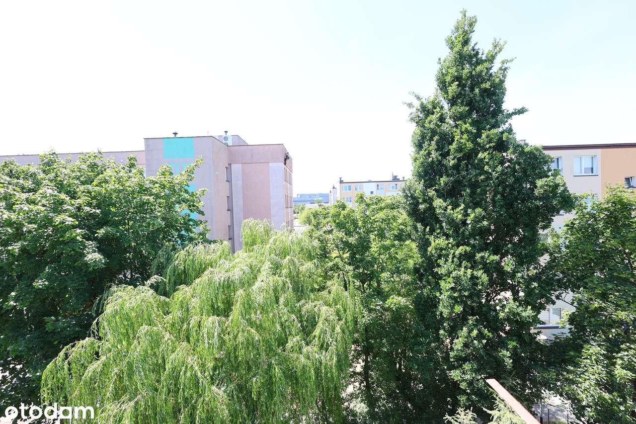 Komfortowe 3-pokojowe mieszkanie po generalnym remoncie – Kalisz-3