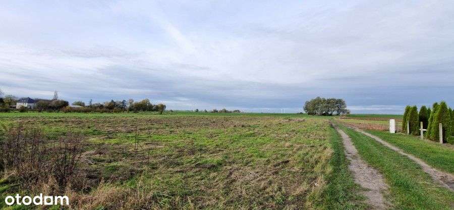 Działka, 1 000 m², Banie-8