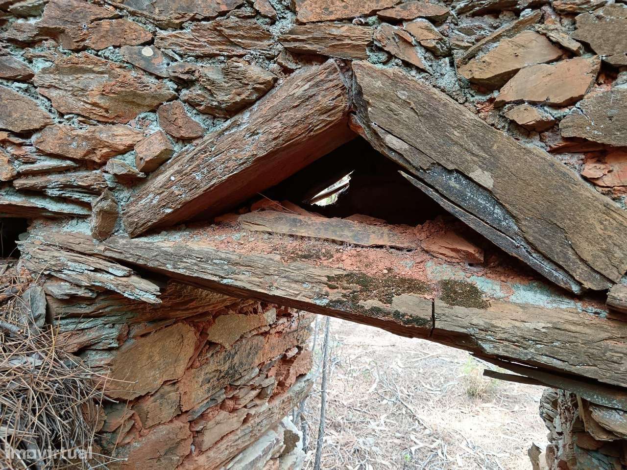 Terreno rustico em Salgueiro do Campo ( Carquejais) - Grande imagem: 5/15