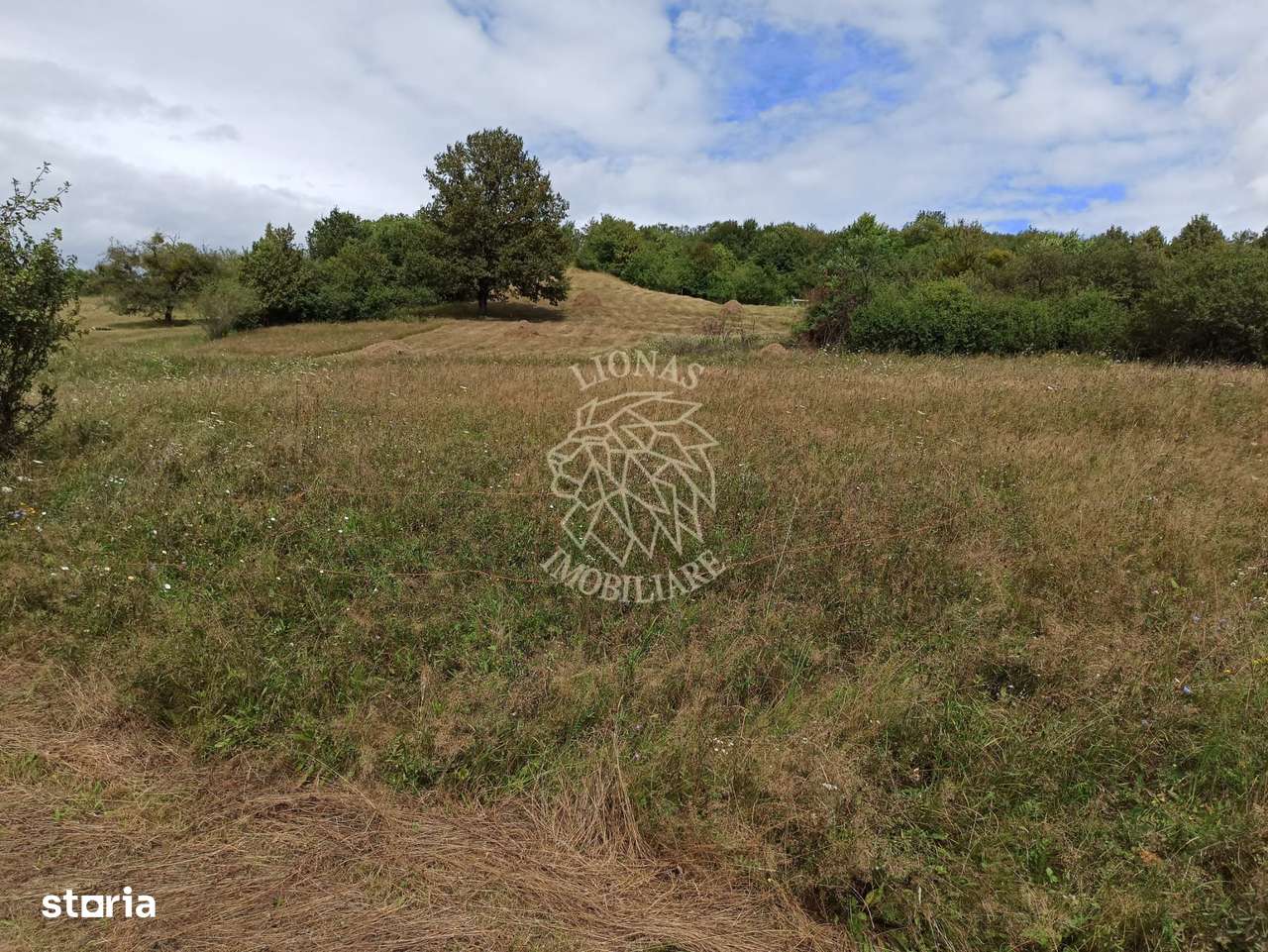 Teren 5200 mp-ideal cabane, case de vacante, agricultura-Livezile - Imagine principală: 2/3