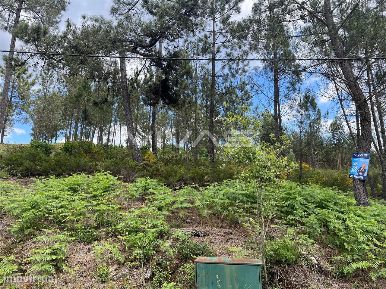 Terreno Para Construção  Venda em Arnóia,Celorico de Basto - Grande imagem: 5/6