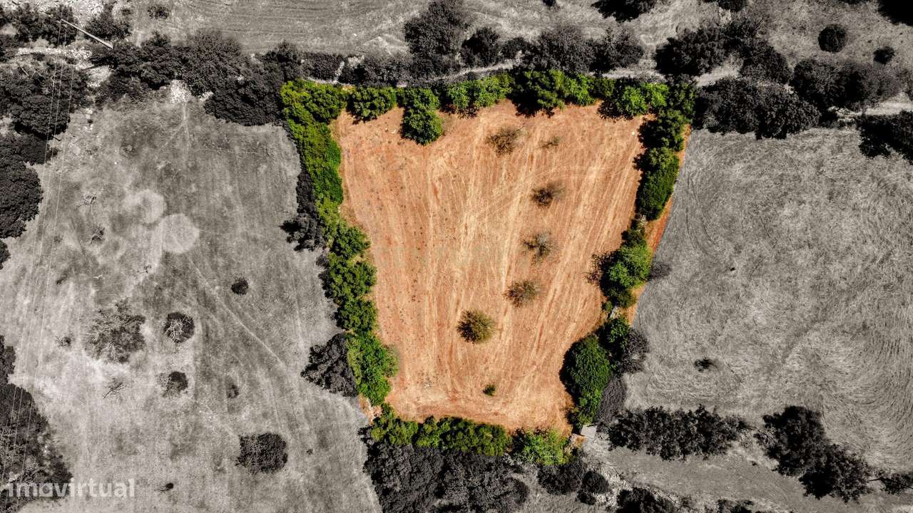 Tranquilidade na natureza - Terreno Rústico para Venda - Grande imagem: 4/36