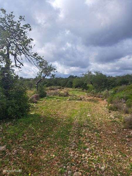 Terreno Rústico 51 720m² - Grande imagem: 5/9