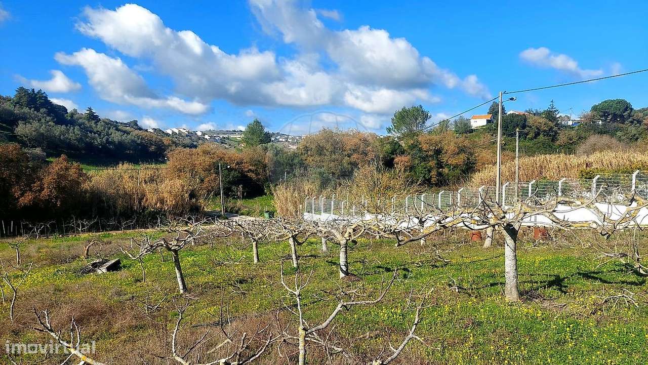 Terreno  para venda-19