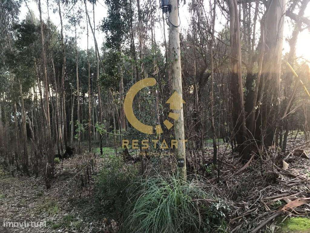 Terreno com área total de 2990m2 Valongo - Grande imagem: 5/12