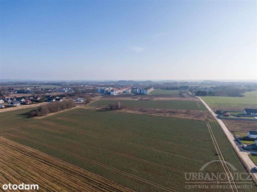 Duża działka dla dewelopera, Koszalin Pszeniczna. - Pełny obrazek: 4/12