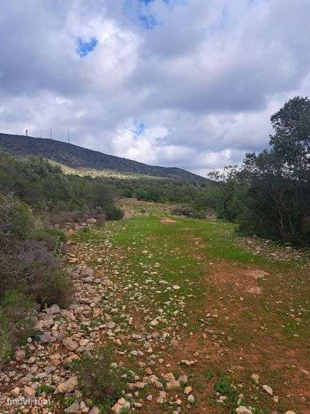 Terreno Rústico 51 720m² - Grande imagem: 3/9