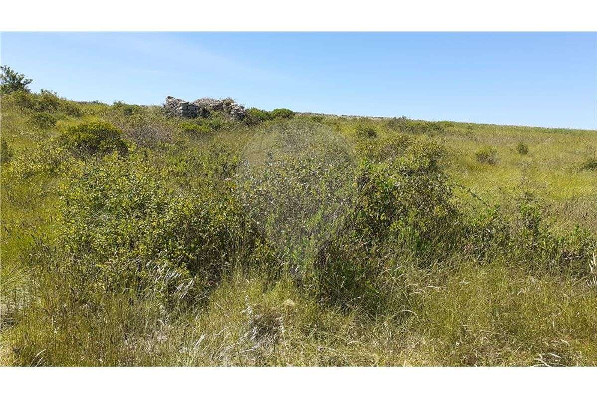 Terreno  11680 M2 - Grande imagem: 3/3