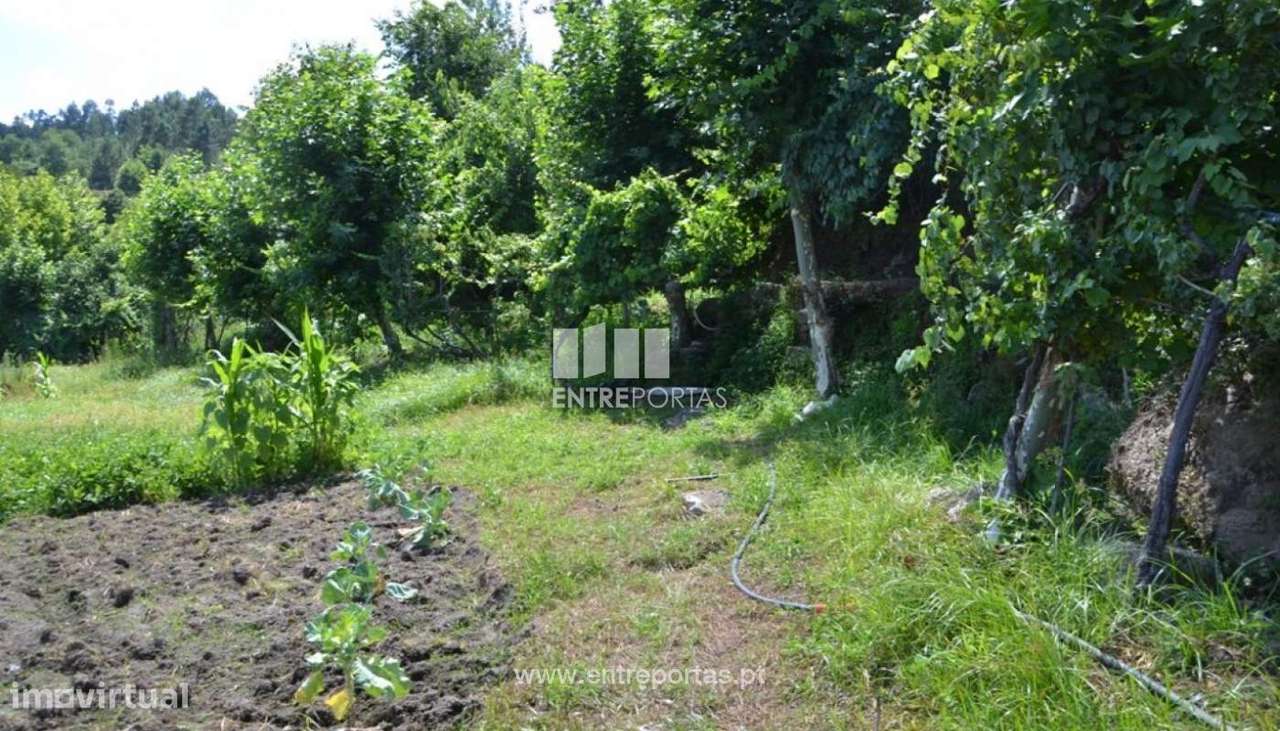 Venda Terreno, Constance, Marco de Canaveses - Grande imagem: 5/25