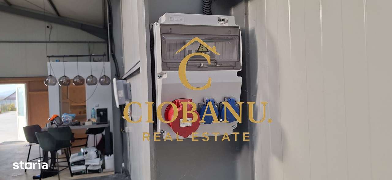 Hala de vanzare in Racarii de Jos-4