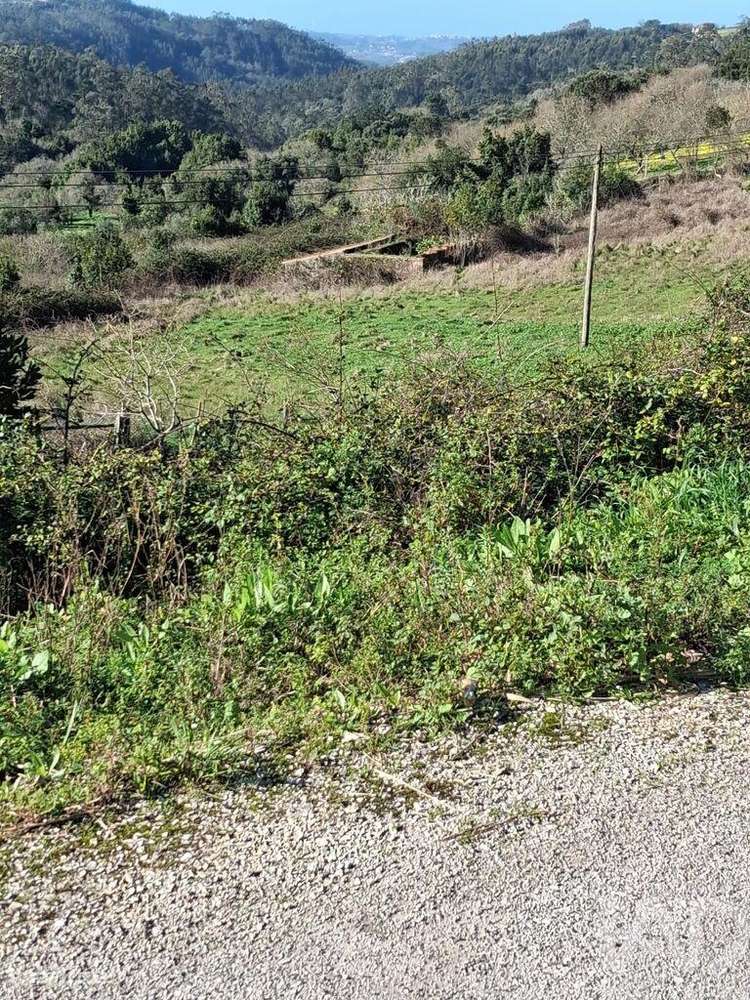 Terreno misto em Turquel - Grande imagem: 3/9