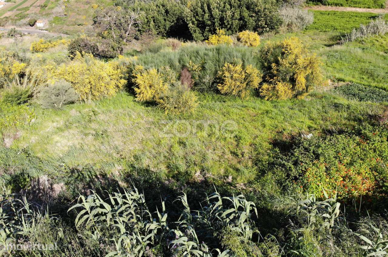 TERRENO PLANO - Grande imagem: 4/13