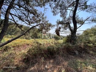 Terreno em Portela Susã - Grande imagem: 4/8