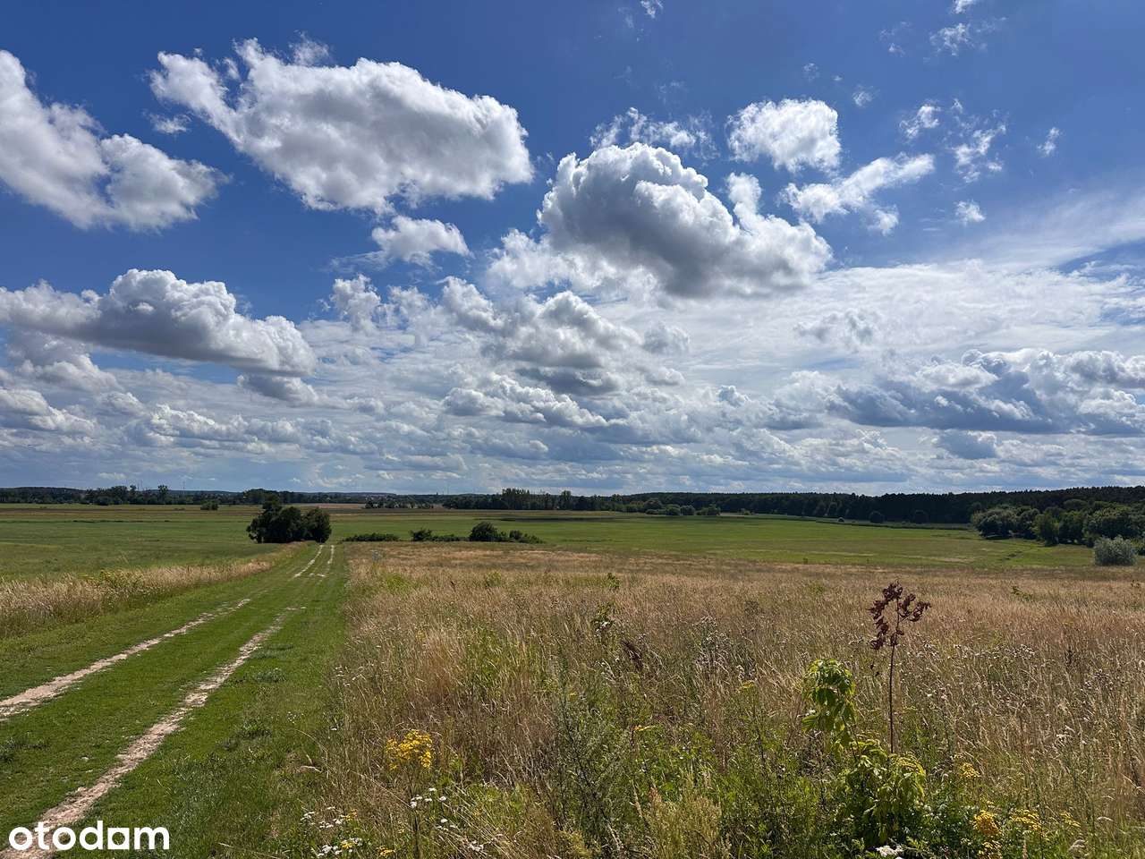 Atrakcyjna działka budowlana  nad Jeziorem Radgoskim - Pełny obrazek: 5/9