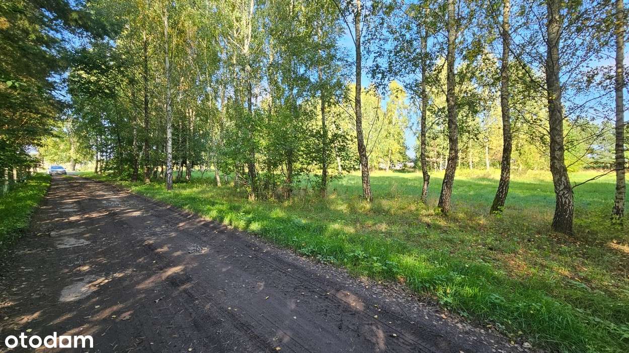 Działka budowlana Kamiennik Wielki, gmina Milejewo-11