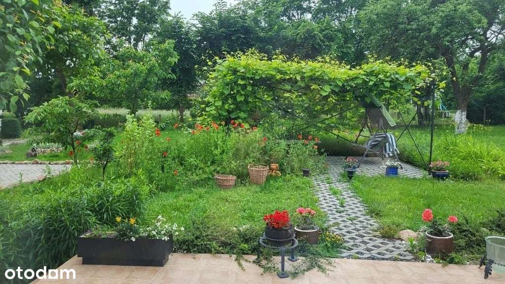 Wyjątkowe siedlisko z potencjałem.-7