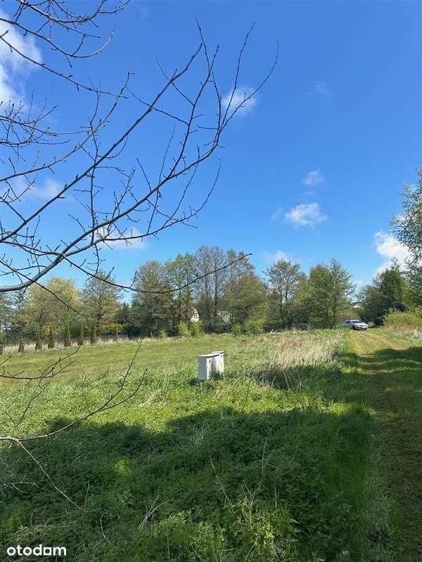 Karwieńskie Błota Jeden - działka budowlana - Pełny obrazek: 4/7