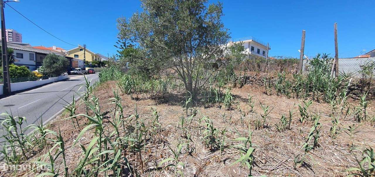 Terreno  para venda-11