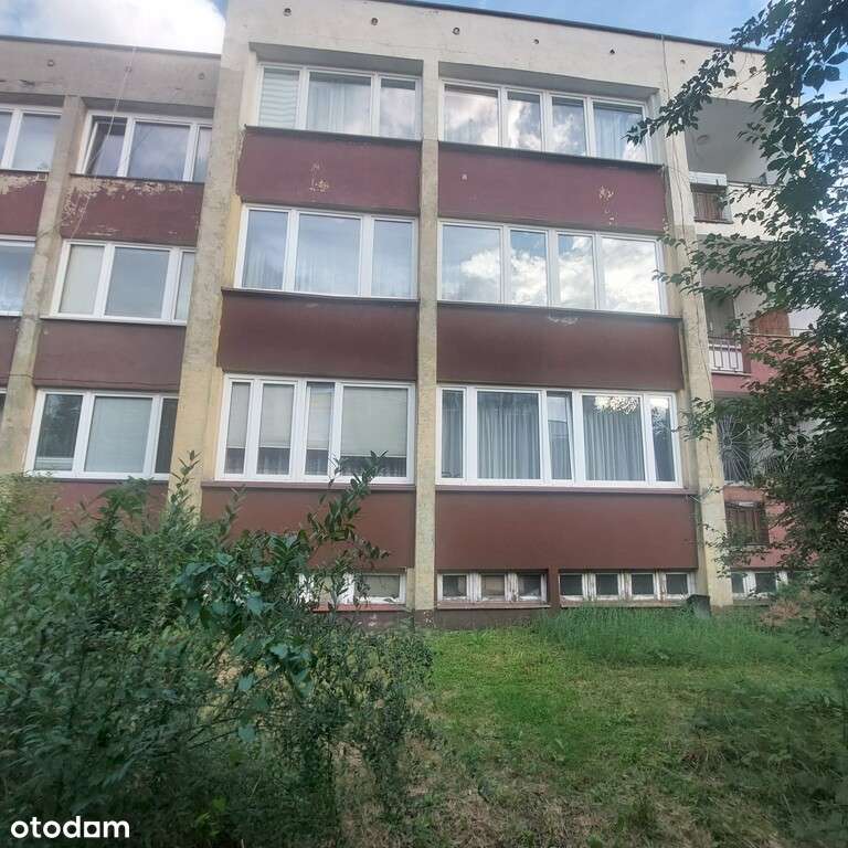 Idealna oferta dla rodziny !-11