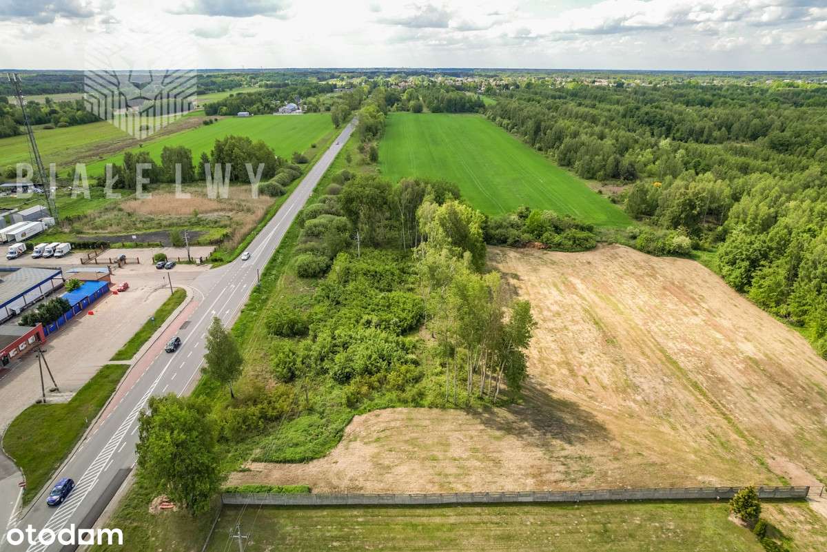 Pod produkcję, magazyny przy drodze krajowej Dk50 - Pełny obrazek: 4/16