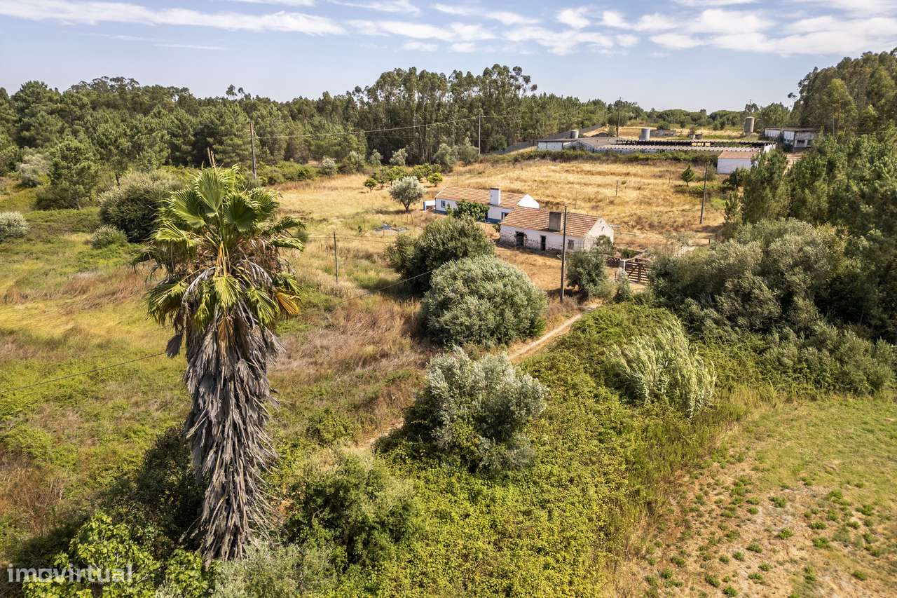 Quinta  5hct Rústica / Urbana com Potencial Único -  Branca - Coruche-4