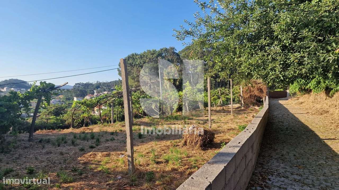 Terreno - potencial de investimento - Astromil - Paredes-7