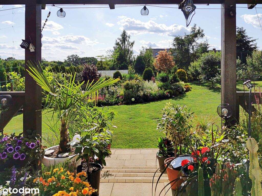 Dom wysoki standard z widokiem na Dolinę Cybiny - Pełny obrazek: 4/20