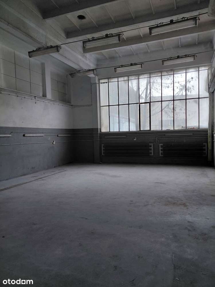 Hala mag.- prod./biuro - Pełny obrazek: 4/6