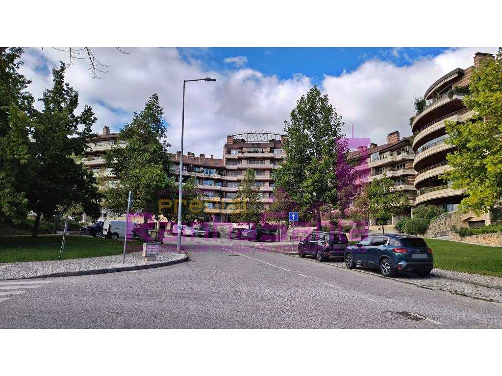 Lote - Quinta de São Jerónimo - Coimbra - Grande imagem: 2/14