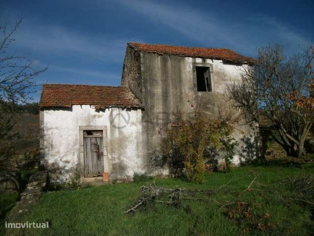 Quinta com vinha em Vila Real - Grande imagem: 5/16