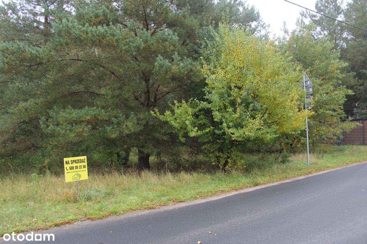 Pięknie położona działka przy Trakcie Pobiedziskim, Nekielka-7