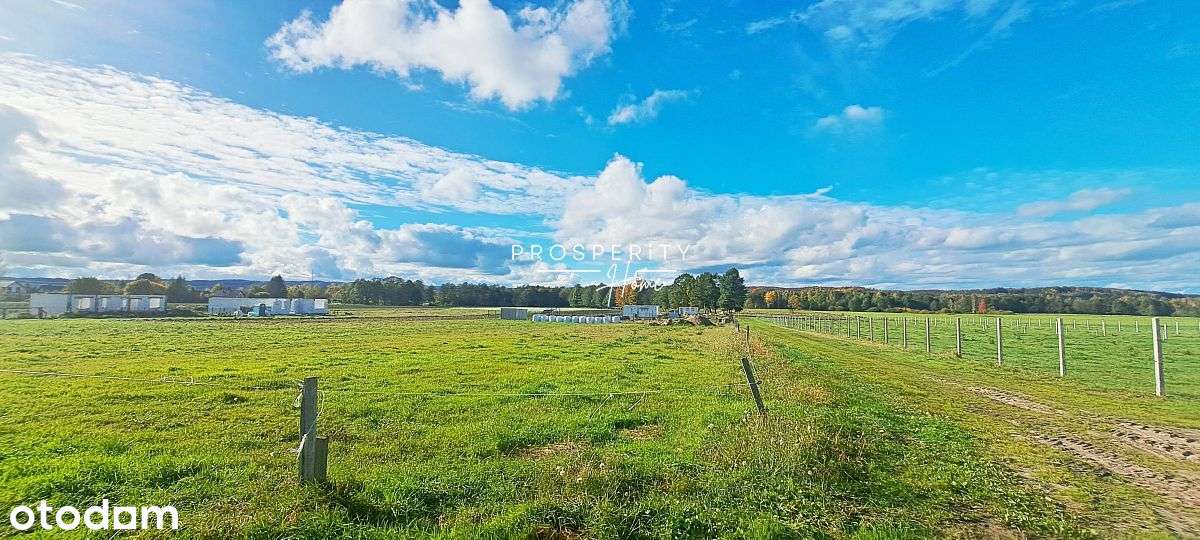 Działki budowlane w Zelewie-5