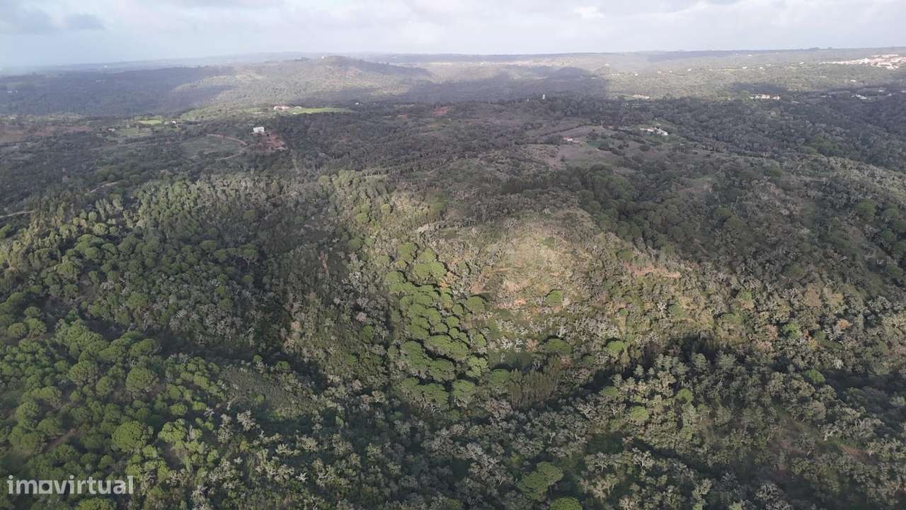 Terreno 17.9Ha com PIP Aprovado e vista mar em São Francisco da Serra - Grande imagem: 4/38