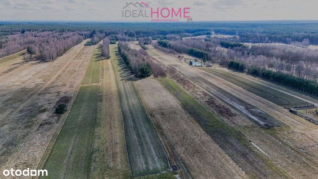 Działka na sprzedaż 2,43ha Mazury (gm. Raniżów)-8