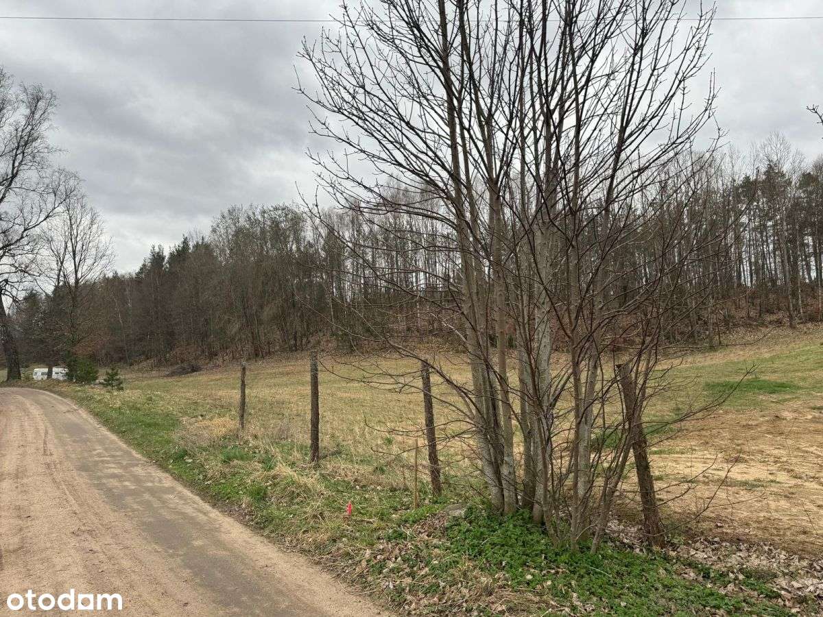 Działki mieszkaniowe-Borowiec k.Lipusza // Kaszuby-7