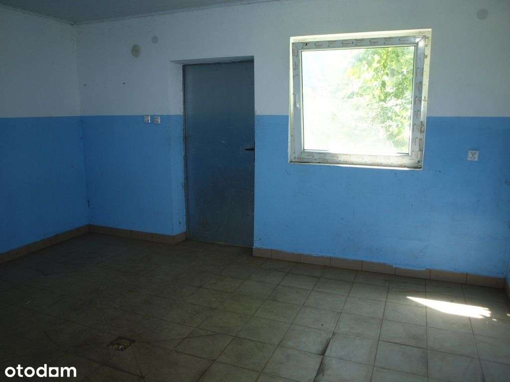 Pieczarkarnia - Kaliłów - Pełny obrazek: 5/10