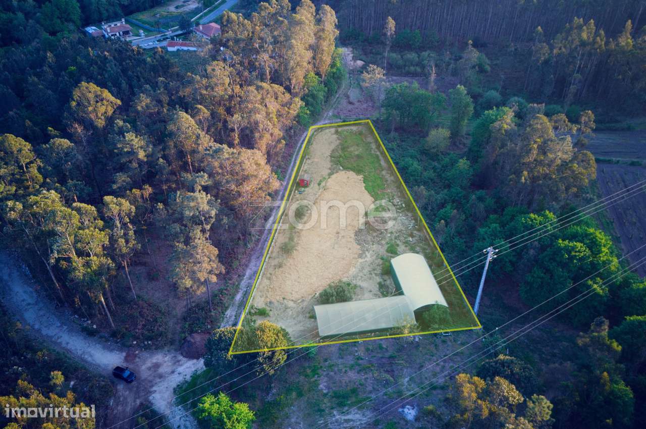 Terreno agrícola em Fragoso-2
