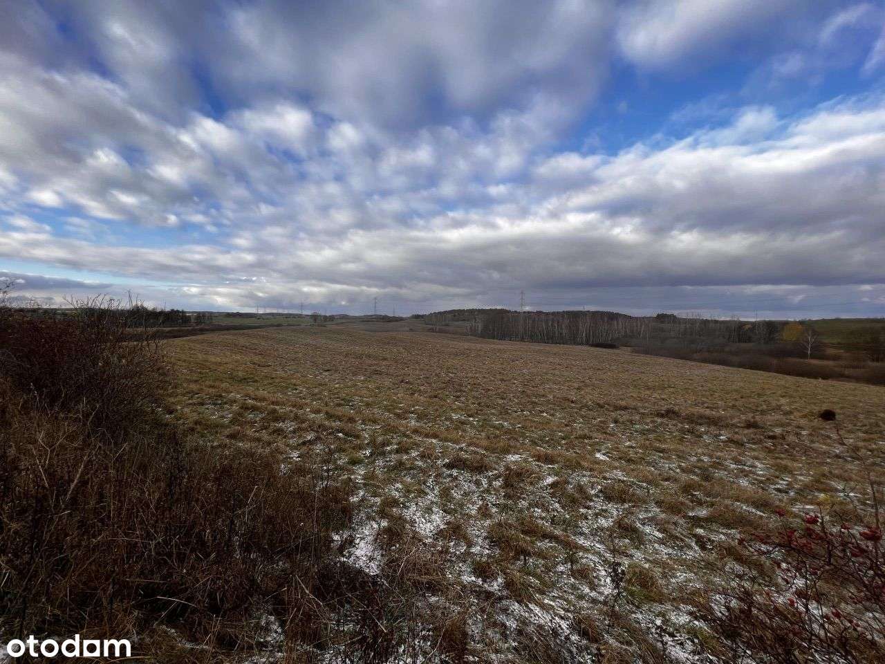 Skajboty - 12 ha kompleks działek na sprzedaż-3