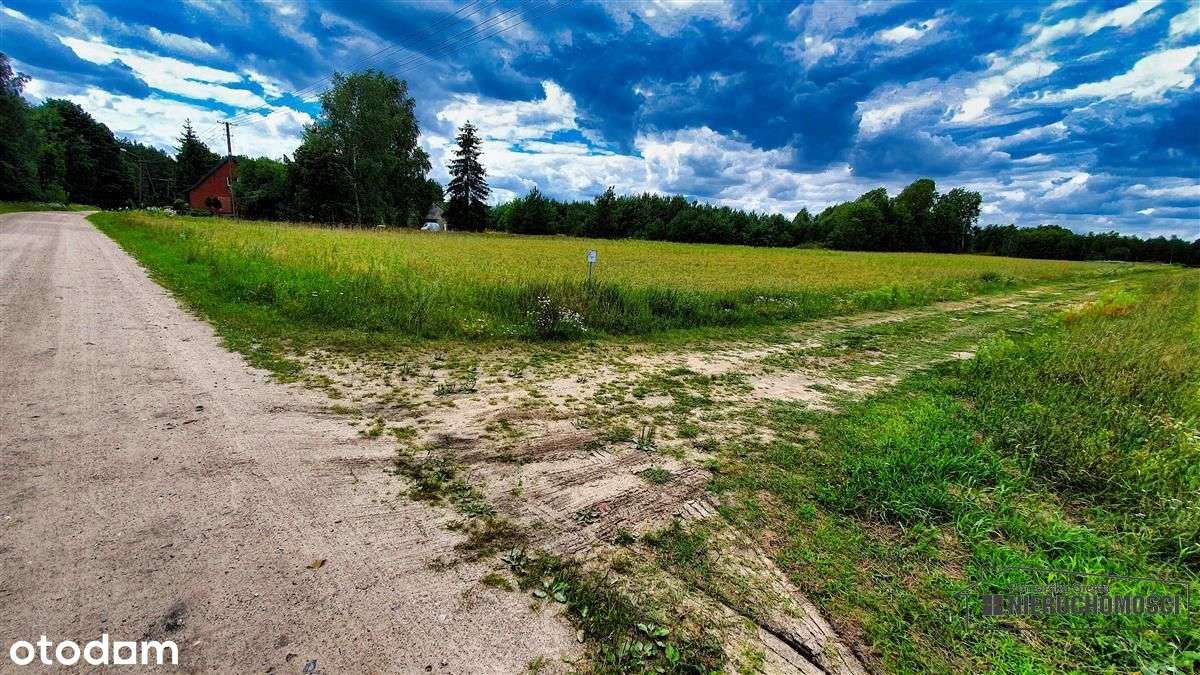 Czyżkowo - działka budowlana około 70 km od Bydgos-17