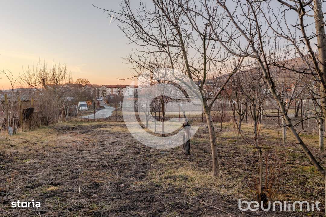 Casa individuala Sibiu - Teren 1310Mp - Garaj - Anexe-17