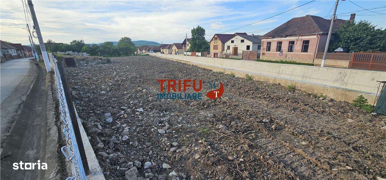 Teren de vanzare in Bucerdea Vinoasa - Imagine principală: 5/5