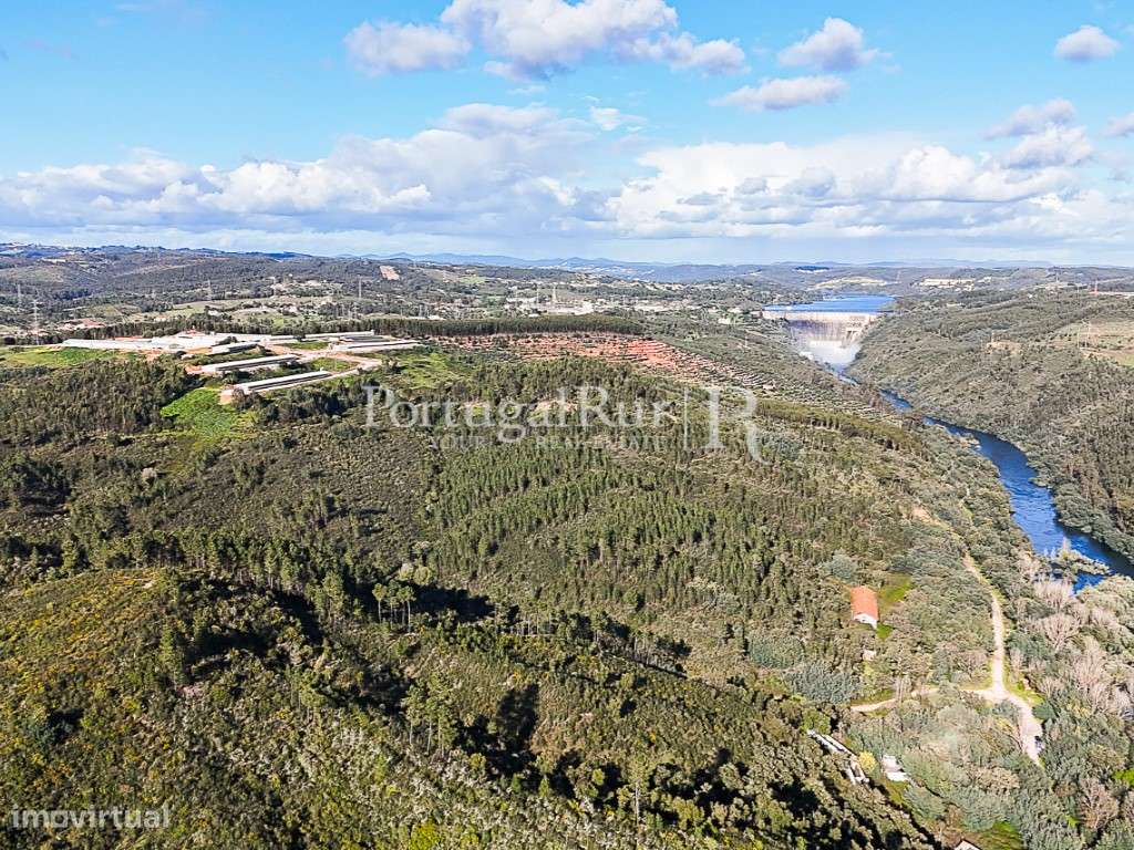 Herdade com 227 ha junto à Albufeira de Castelo de Bode - Grande imagem: 2/47