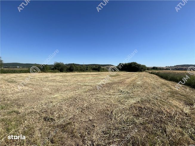 Teren intravilan de 543 mp cu PUZ constructie duplex in Cristian-4