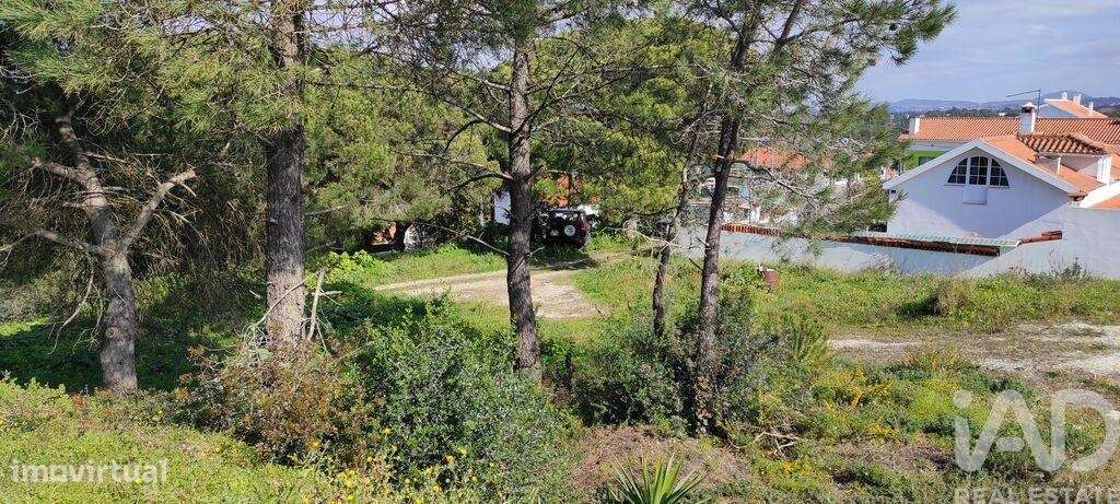 Terreno em Sesimbra (Castelo) de 2190,00 m2 - Grande imagem: 4/20