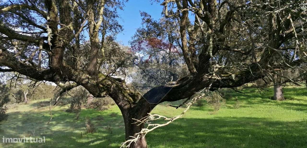 Terreno  para venda - Grande imagem: 2/20